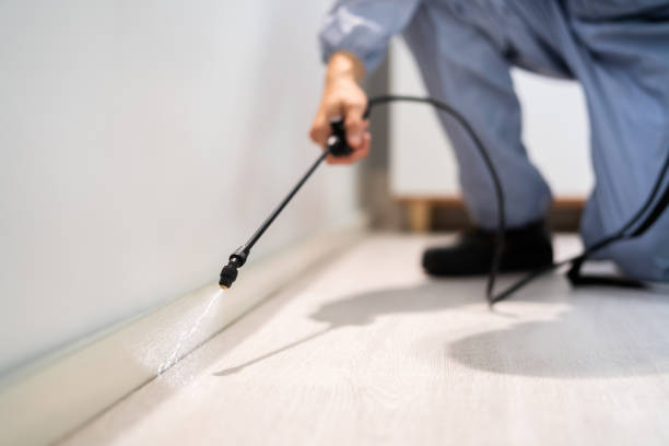 Licensed Rodent Control service in Iona, ID - Nex Pest Control