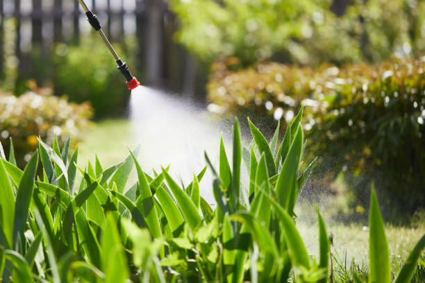 24/7 Emergency Rodent Control experts in Iona, ID